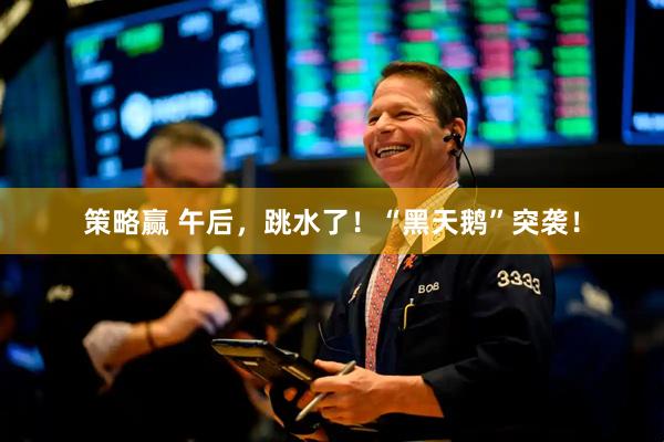 策略赢 午后，跳水了！“黑天鹅”突袭！