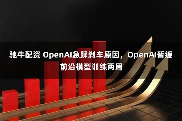 驰牛配资 OpenAI急踩刹车原因，OpenAI暂缓前沿模型训练两周