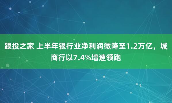 跟投之家 上半年银行业净利润微降至1.2万亿，城商行以7.4%增速领跑